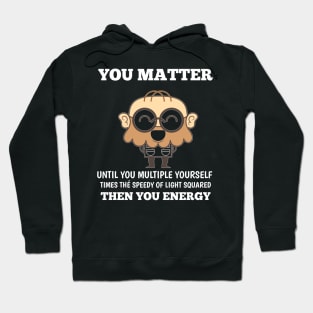 Funny Physics Teacher gift Hoodie